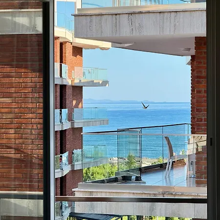 Fishta Quality Q5 36 * Velipoja